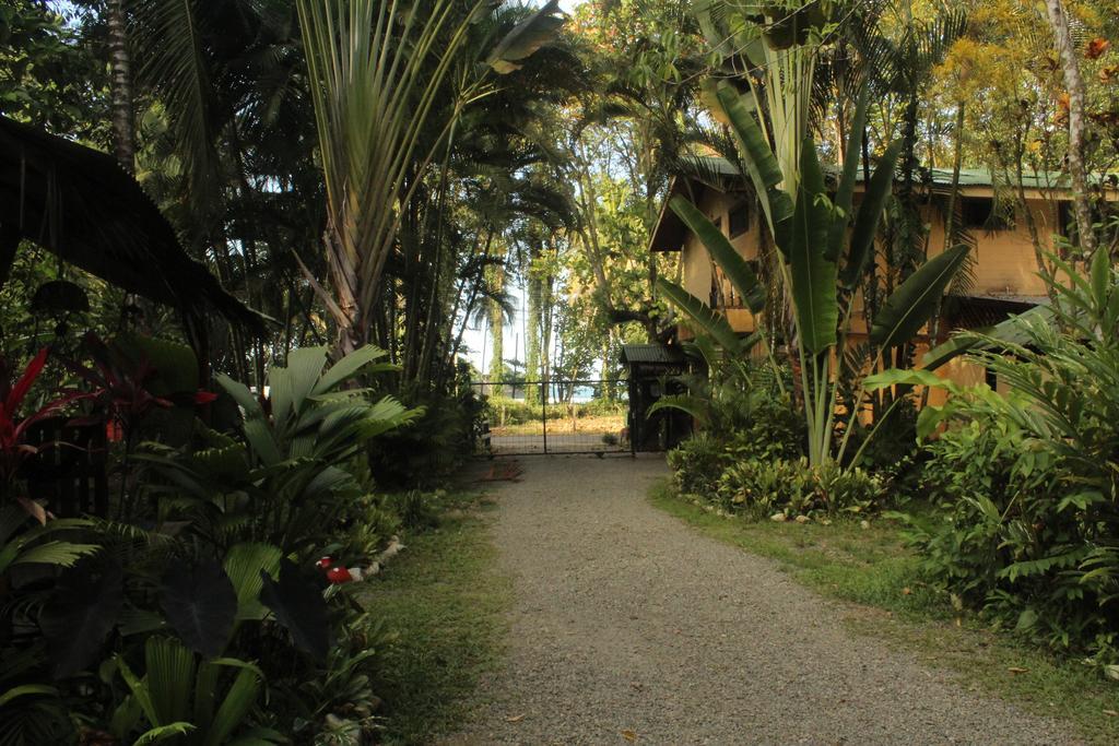 Mi Casa Hostel Y Hotel El Tesoro Puerto Viejo de Talamanca Exteriér fotografie